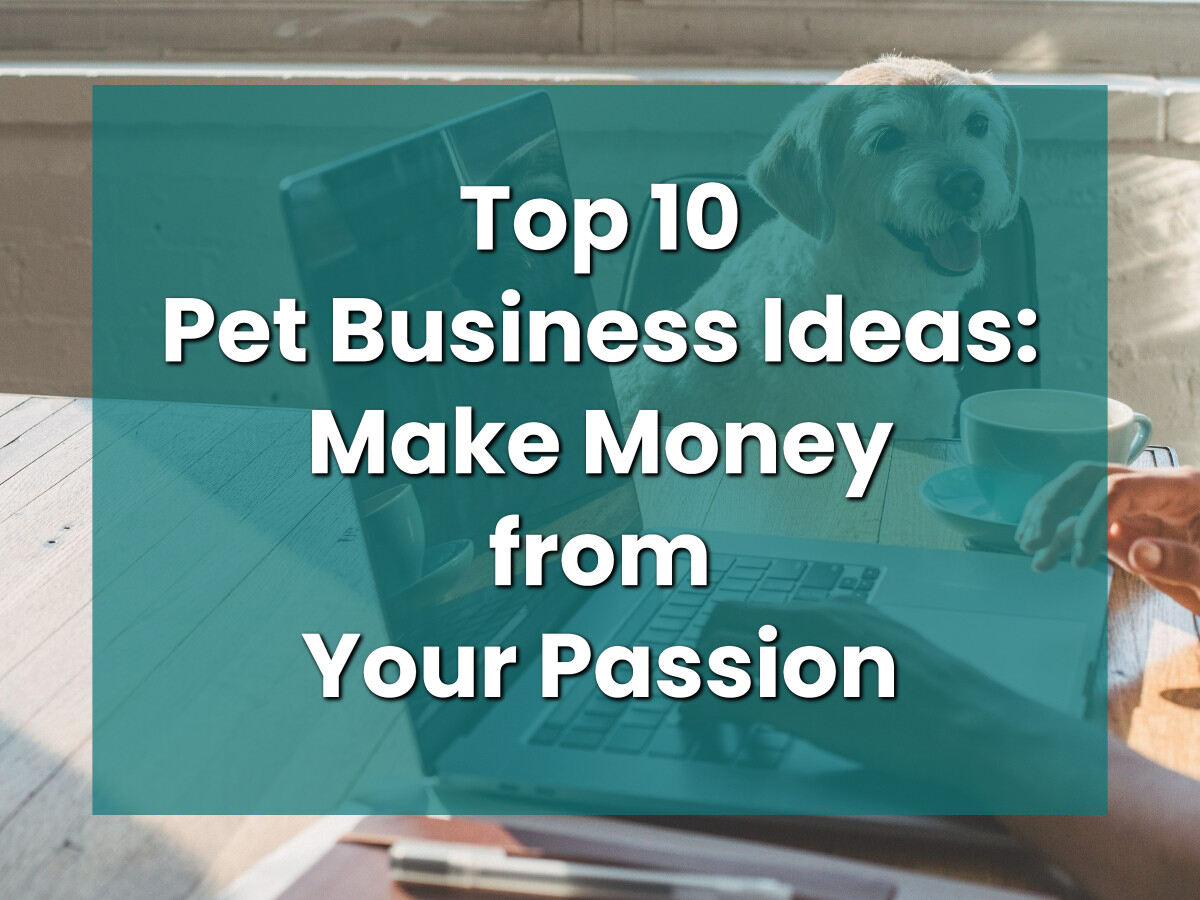 is dog boarding a profitable business